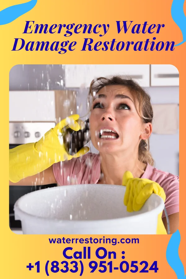 Emergency Water Damage Restoration in New Site, AL