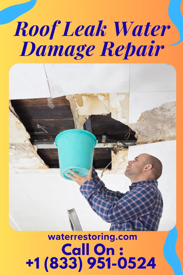Roof Leak Water Damage Repair in New Site, AL